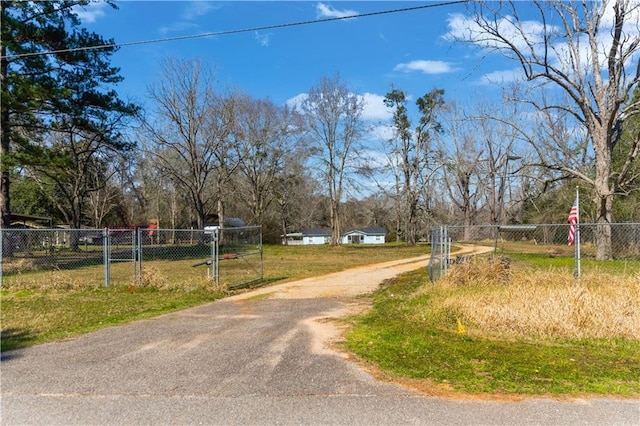 view of road with driveway and a gated entry