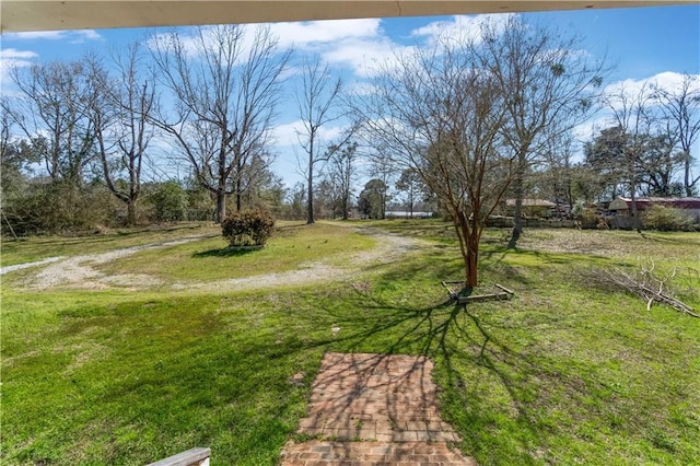 view of yard with dirt driveway