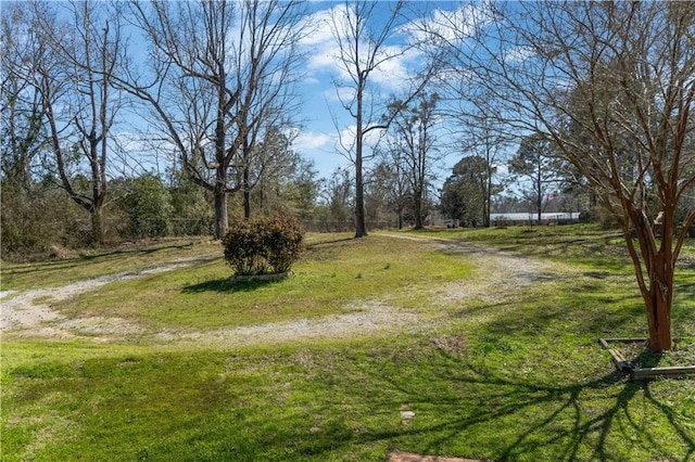 view of yard featuring driveway