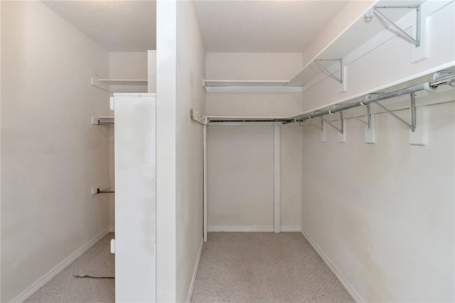 spacious closet with light carpet