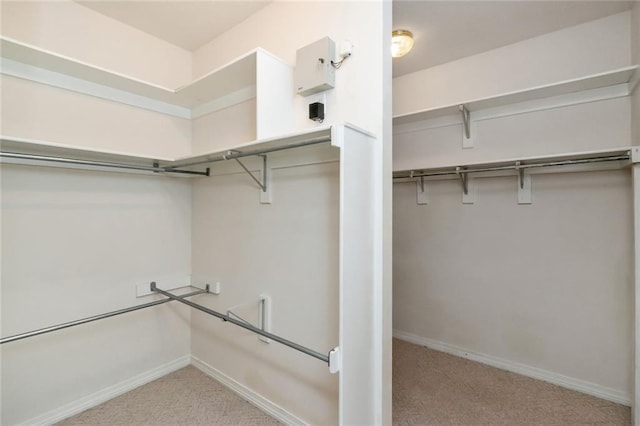 spacious closet featuring light carpet