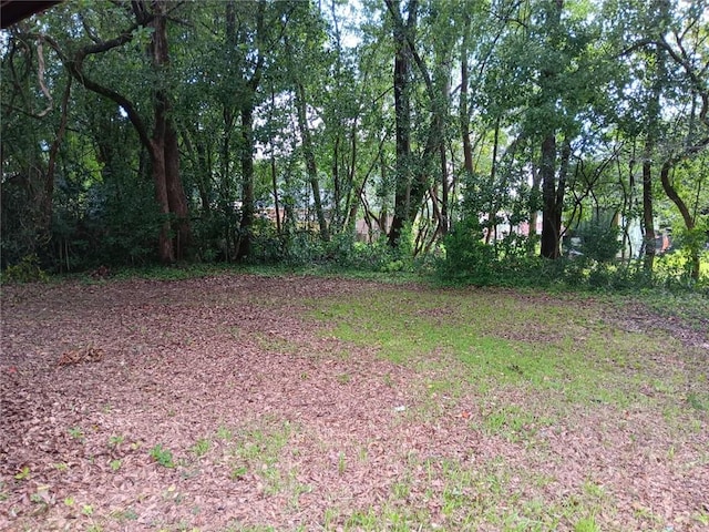 609 Gehrig Ave, Prichard, AL 36610 - view of yard