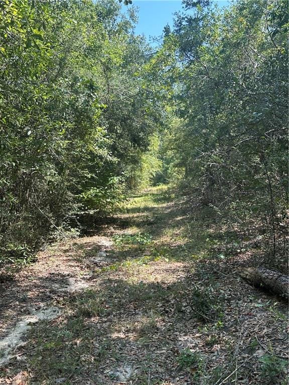 17245 Kelley Rd, Mount Vernon AL, 36560 land for sale