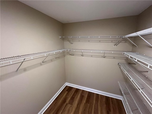 walk in closet featuring dark hardwood / wood-style flooring