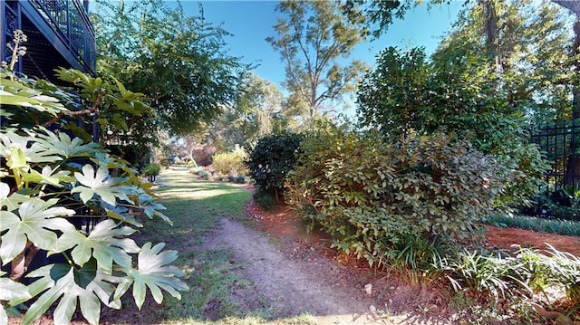 4009 Old Shell Rd Unit D13, Mobile, AL 36608 - exterior space