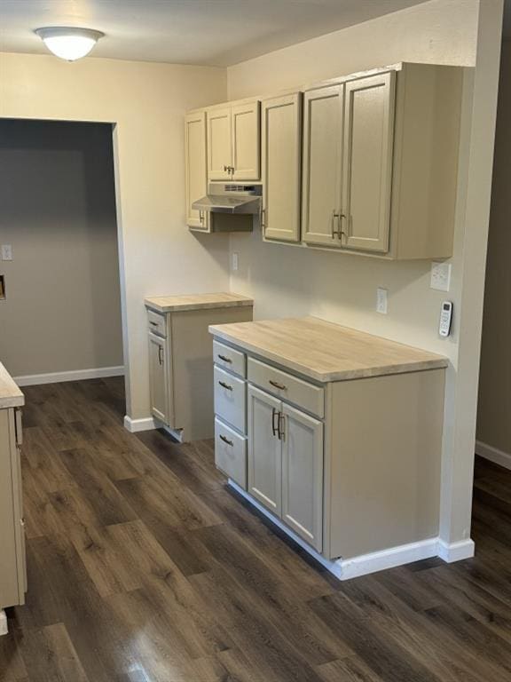 kitchen featuring dark hardwood / wood-style floors