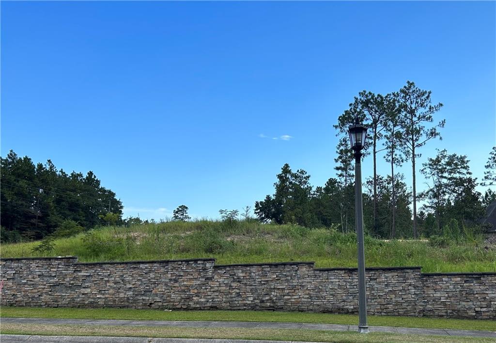 0 Stone Mill Ct, Mobile, AL 36619