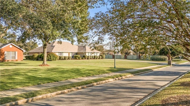 view of home's community featuring a yard