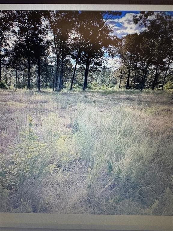 0 Salco Rd, Axis AL, 36505 land for sale