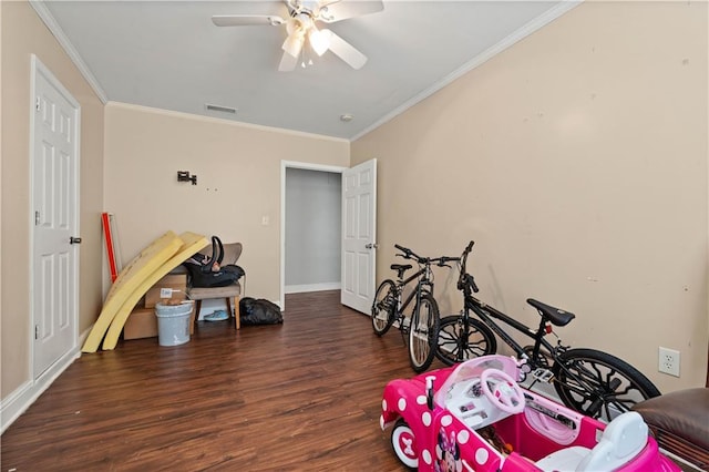 exercise area featuring ceiling fan, dark hardwood / wood-style flooring, and ornamental molding