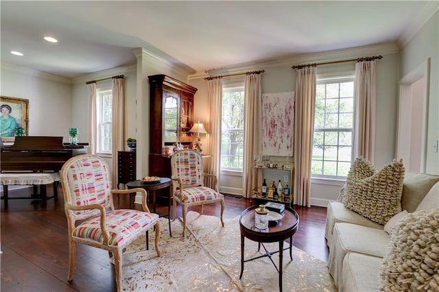 living room featuring a healthy amount of sunlight, wood-type flooring, and ornamental molding