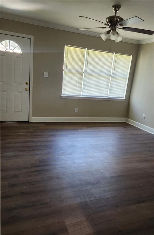 foyer with crown molding, dark hardwood / wood-style flooring, and ceiling fan