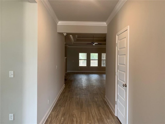 corridor with dark hardwood / wood-style floors and ornamental molding