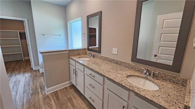 bathroom featuring hardwood / wood-style floors and vanity