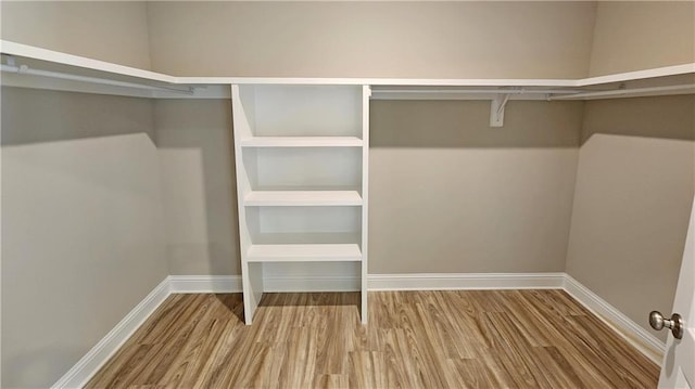 spacious closet with hardwood / wood-style floors