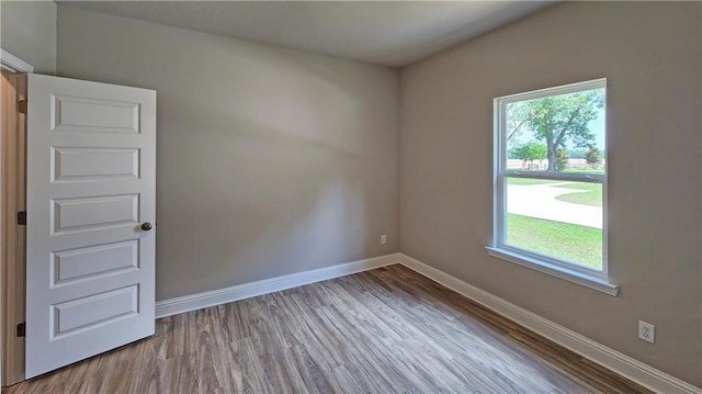 empty room featuring light wood-type flooring and a wealth of natural light