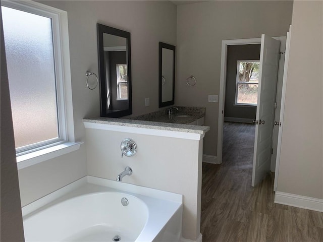 bathroom featuring a bath, vanity, hardwood / wood-style flooring, and plenty of natural light