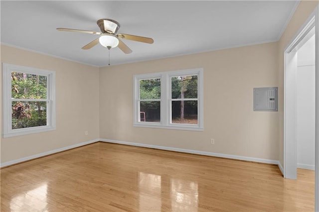 spare room with electric panel, a healthy amount of sunlight, and light hardwood / wood-style flooring