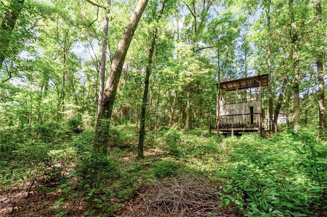 258 Suffolk Rd, Mobile, AL 36608 - view of woods