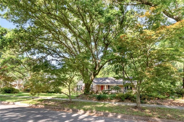 258 Suffolk Rd, Mobile, AL 36608 - view of property hidden behind natural elements