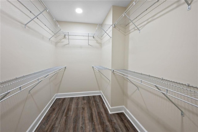 walk in closet with dark hardwood / wood-style floors