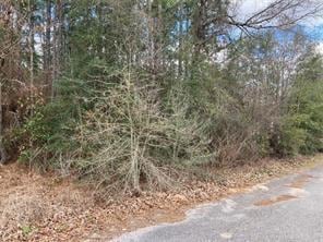 0 Timberline Ct, Axis AL, 36505 land for sale