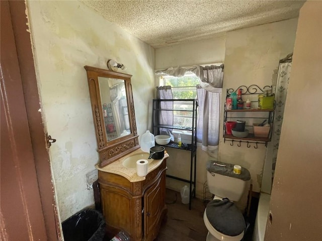 1008 Miami St, Mobile, AL 36604 - bathroom with vanity, a textured ceiling, and toilet