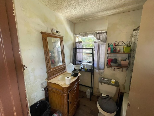 1008 Miami St, Mobile, AL 36604 - bathroom featuring toilet, vanity, and a textured ceiling