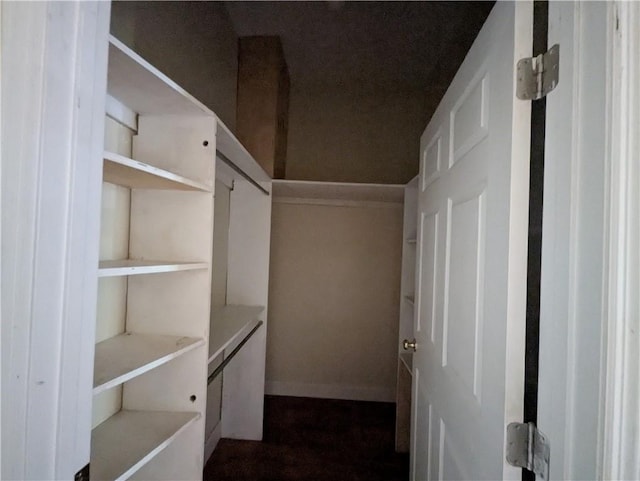 1151 Navco Rd, Mobile, AL 36605 - view of walk in closet
