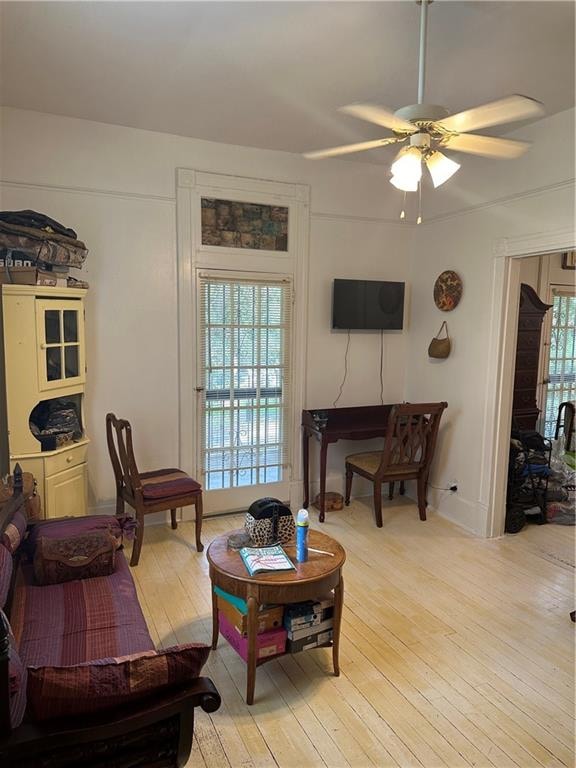 living room featuring plenty of natural light, light hardwood / wood-style flooring, and ceiling fan