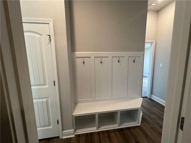 mudroom featuring dark hardwood / wood-style floors