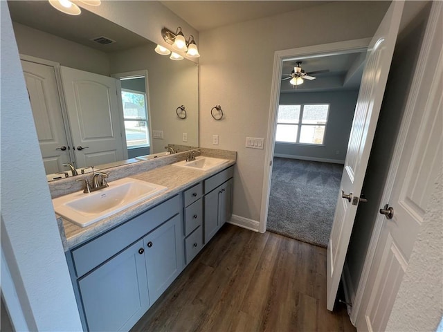 bathroom with hardwood / wood-style flooring and vanity