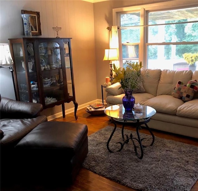living area featuring baseboards and wood finished floors