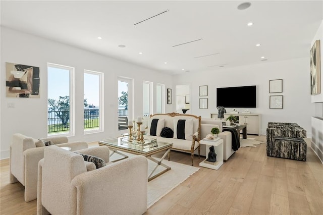 living room featuring light hardwood / wood-style flooring