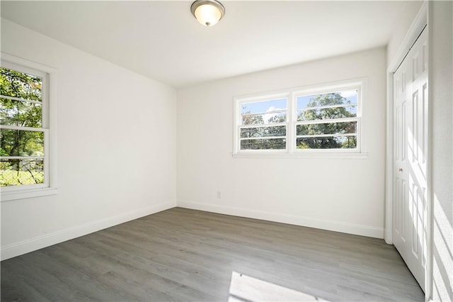 empty room with dark hardwood / wood-style floors and a wealth of natural light