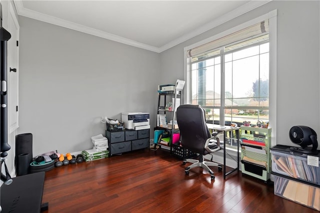 office area featuring ornamental molding and dark hardwood / wood-style floors