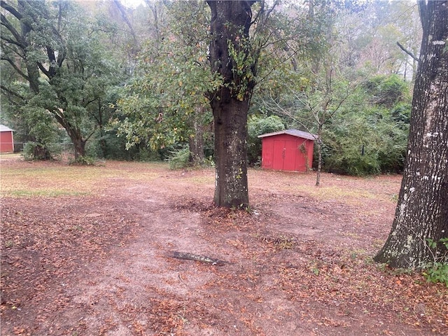 view of yard featuring a storage unit