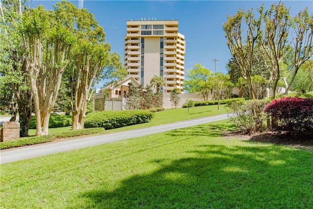 view of home's community with a yard