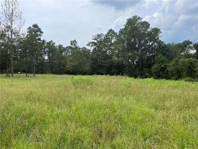 Listing photo 2 for 0 Hunters Trl, Citronelle AL 36522