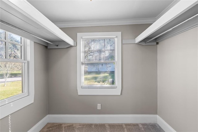 spacious closet featuring carpet floors