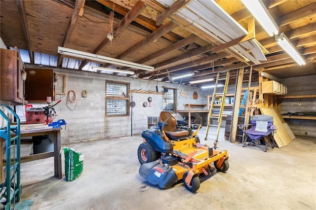 basement with a workshop area