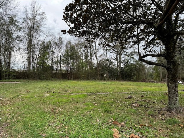 425 Weisbrod Ave, Eight Mile AL, 36613 land for sale