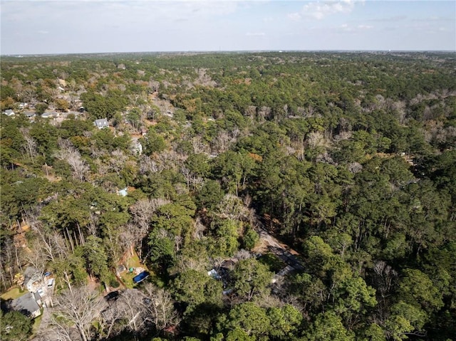 birds eye view of property featuring a forest view