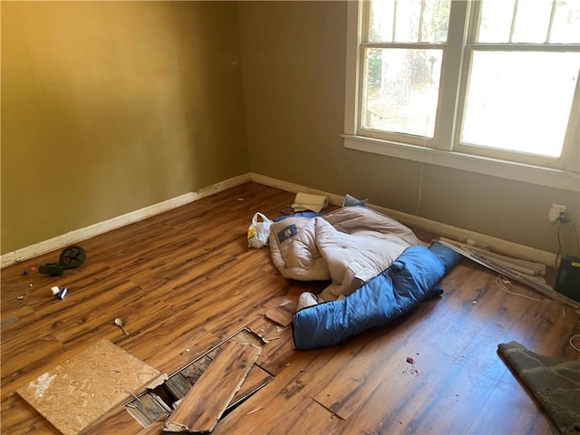 misc room featuring hardwood / wood-style floors