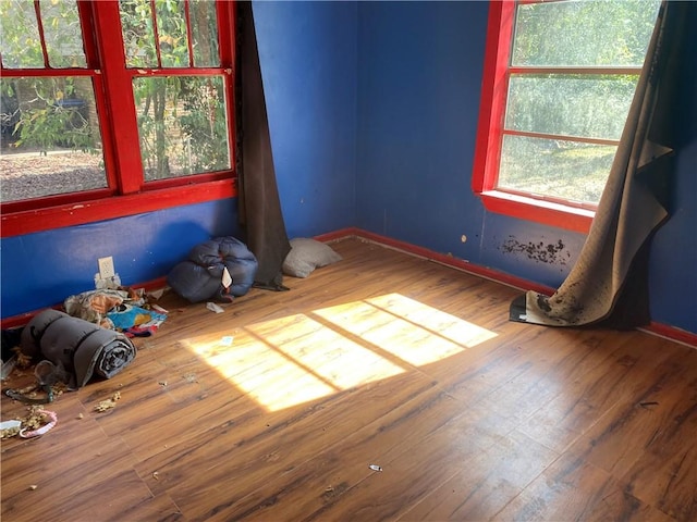 spare room with hardwood / wood-style floors and plenty of natural light