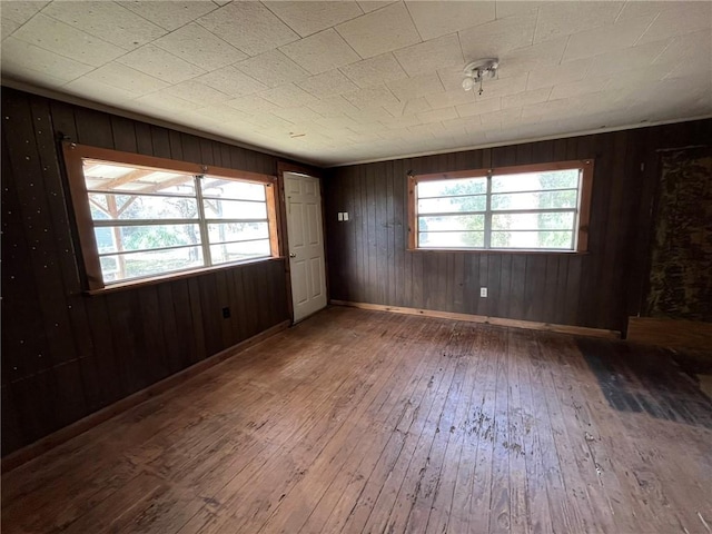 interior space with wood-type flooring, a wealth of natural light, and wooden walls