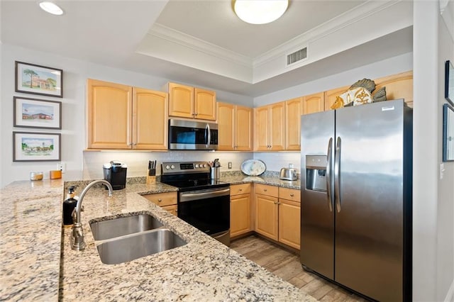 kitchen featuring light stone counters, appliances with stainless steel finishes, light brown cabinetry, and a raised ceiling