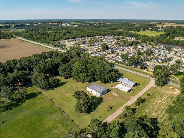 bird's eye view