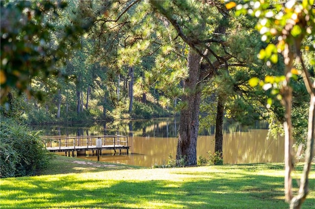 view of property's community with a lawn