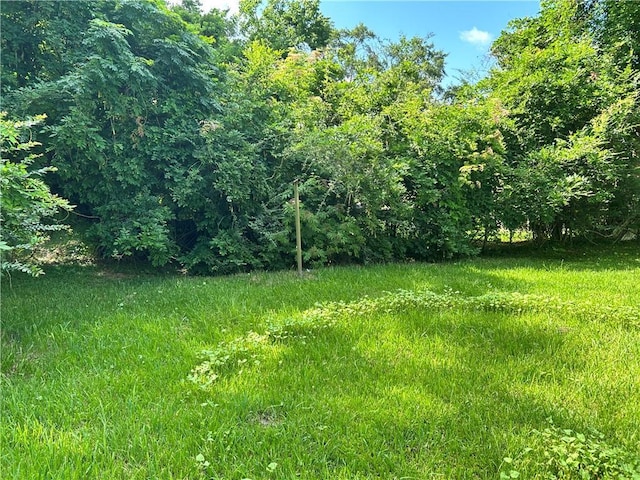 2365 Dog River Dr N, Mobile, AL 36605 - view of yard